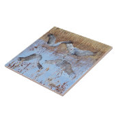 Carreau Animaux de faune d'oiseaux de grue de Sandhill (Côté)