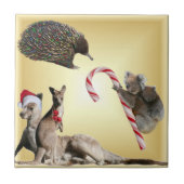 Carreau Animaux de Noël australiens (Devant)