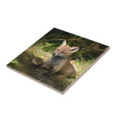 Carreau Animaux sauvages de Fox Wildlife (Côté)