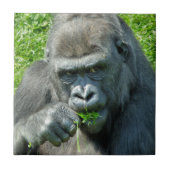 CARREAU ANIMAUX SAUVAGES - GORILLAS (Devant)