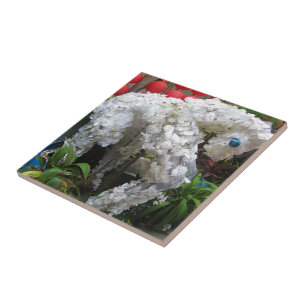 Carreau Année du Cheval 春節馬 ... Topiaire de fleurs chino