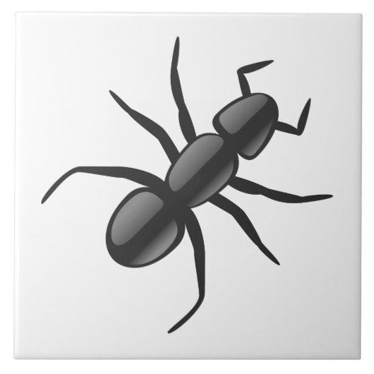 Carreau Ant (Devant)