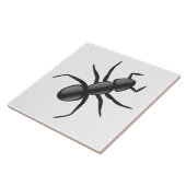 Carreau Ant (Côté)