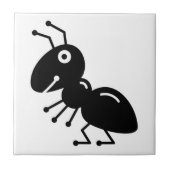 Carreau Ant (Devant)