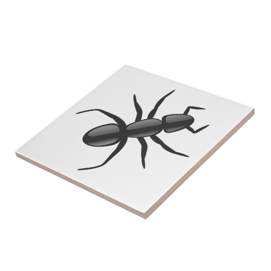 Carreau Ant (Côté)