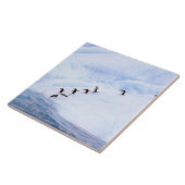 Carreau Antarctica, péninsule Antarctique. Chinstrap (Côté)