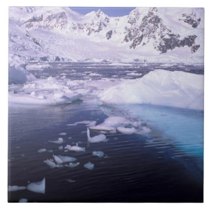 Carreau Antarctique. Expédition à travers les paysages de