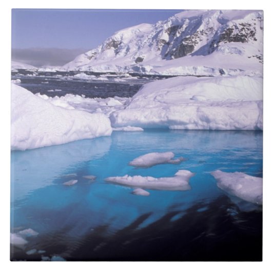 Carreau Antarctique. Expédition à travers les paysages de  (Devant)