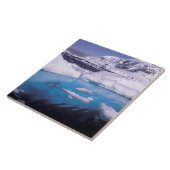 Carreau Antarctique. Expédition à travers les paysages de  (Côté)