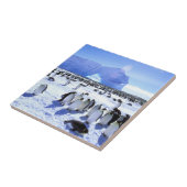 Carreau Antarctique, péninsule Antarctique, mer de Weddell (Côté)