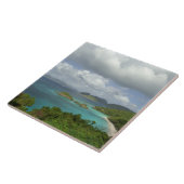 Carreau Antilles, îles Vierges américaines, St. John, tron (Côté)