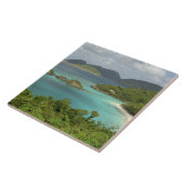 Carreau Antilles, îles Vierges américaines, St. John, Trun (Côté)