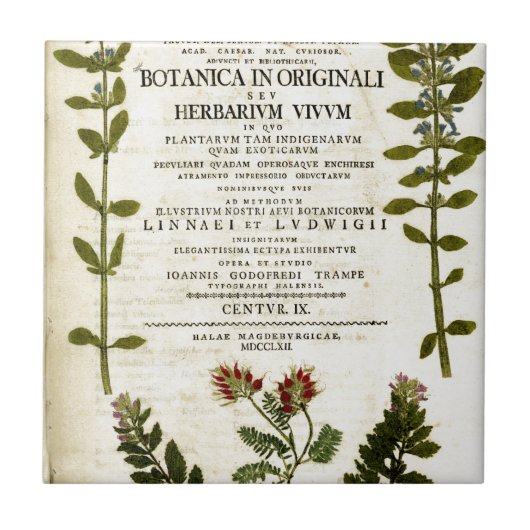 Carreau Antique Boite Boite (Devant)