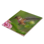 Carreau Août Zinnia Flowers Colibri (Côté)