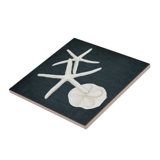 Carreau Aphrodite de plage Bécasseau de sable Bleu de mari (Côté)