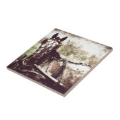 Carreau Appaloosa Horse (Côté)