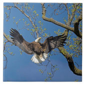 Carreau Approche d'atterrissage (Devant)