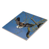 Carreau Approche d'atterrissage (Côté)