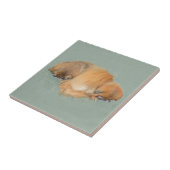 Carreau Après-midi endormi (Côté)