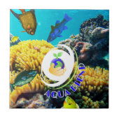 Carreau Aqua Blend (Devant)