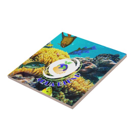 Carreau Aqua Blend (Côté)