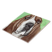 Carreau Aquarelle Basset (Côté)