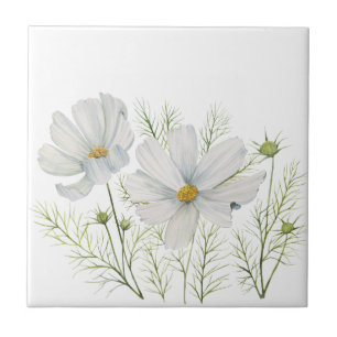 Carreau Aquarelle Blanc Cosmos Fleurs Peinture Botanique