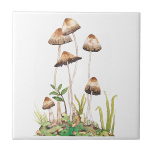 Carreau Aquarelle Brown de champignons forestiers