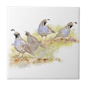 Carreau Aquarelle Californie Quail Bird Nature Art