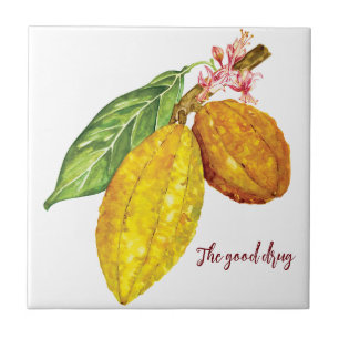 Carreau Aquarelle chocolat fruit
