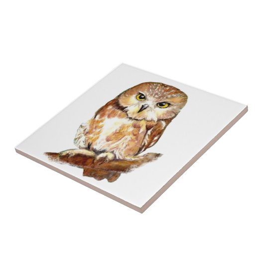 Carreau Aquarelle Chouette Cute Oiseau art (Côté)
