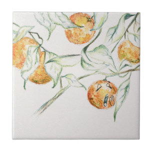 Carreau Aquarelle Citrus Fruit Clementine Cutie