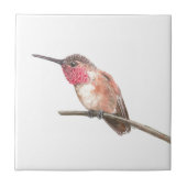 Carreau Aquarelle de colibri (Devant)