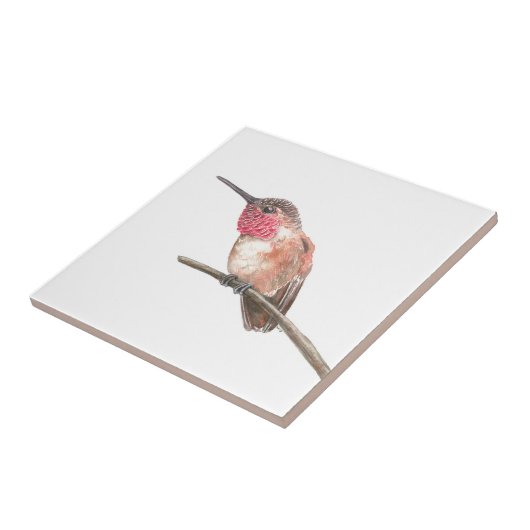 Carreau Aquarelle de colibri (Côté)