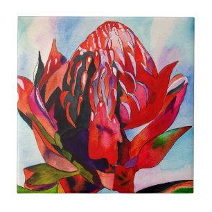 Carreau Aquarelle de fleurs indigènes de Waratah