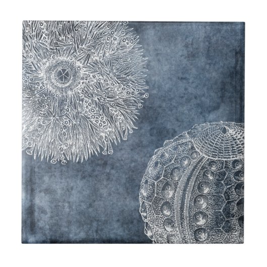 Carreau Aquarelle de Sea Urchin Océan bleu blanc bleu mari (Devant)