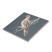 Carreau Aquarelle deuil Dove Oiseau Faune Nature art (Côté)