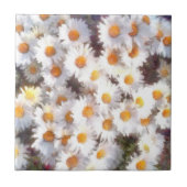 Carreau Aquarelle du Fleur sauvage de marguerite (Devant)