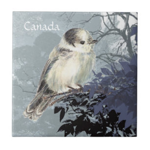 Carreau Aquarelle Gris, Gris ou Canada Jay National Bird