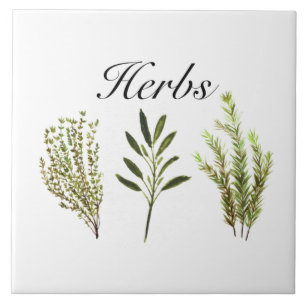 Carreau Aquarelle Herbes Thyme Rosemary Sage Plante Pot