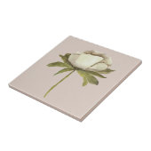 Carreau Aquarelle ivoire sur Taupe (Côté)