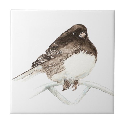 Carreau Aquarelle Junco Bird Art (Devant)