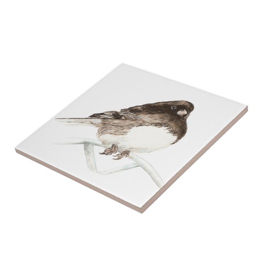Carreau Aquarelle Junco Bird Art (Côté)