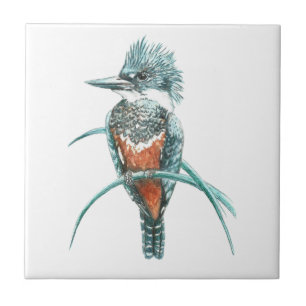 Carreau Aquarelle Kingfisher Oiseau Art de la faune