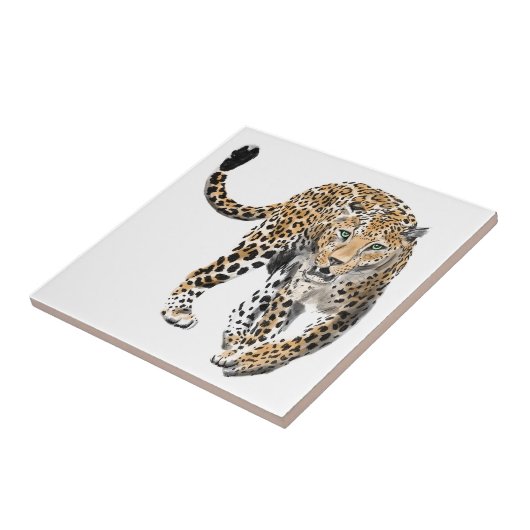 Carreau aquarelle léopard jungle chat peint vert animal (Côté)