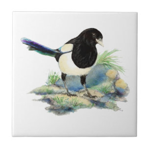 Carreau Aquarelle Magpie Bird Vous regardant