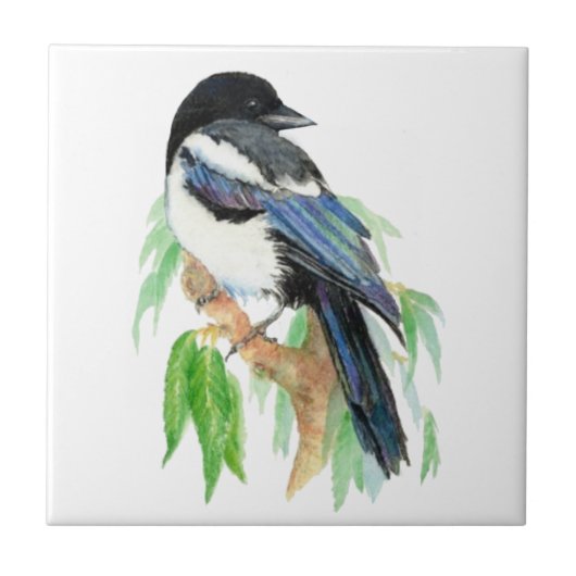 Carreau Aquarelle Magpie Jardin Oiseau (Devant)
