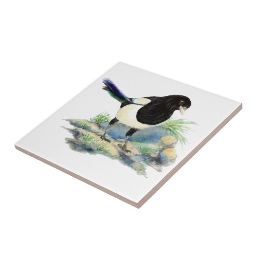Carreau Aquarelle Magpie Oiseau Faune Art (Côté)