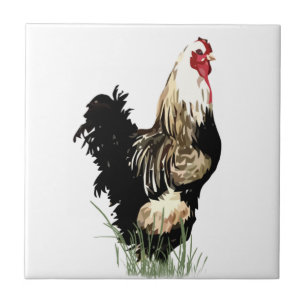 Carreau Aquarelle Noir et Blanc Rooster Bird Poulet