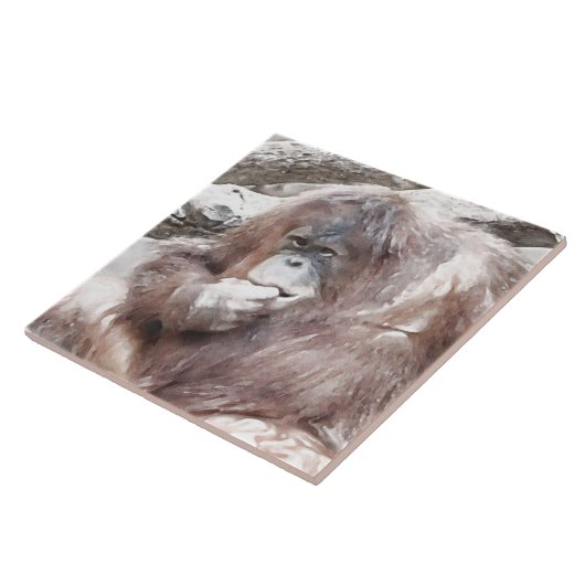 Carreau Aquarelle Orang 2 (Côté)